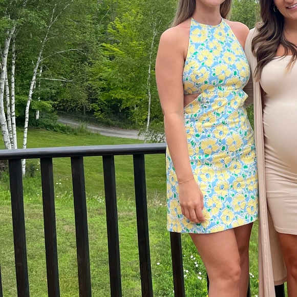 Zara Dress - Picture 3 of 4